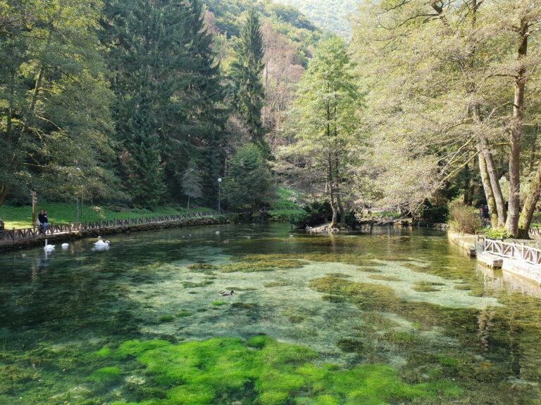 vrelo bosne